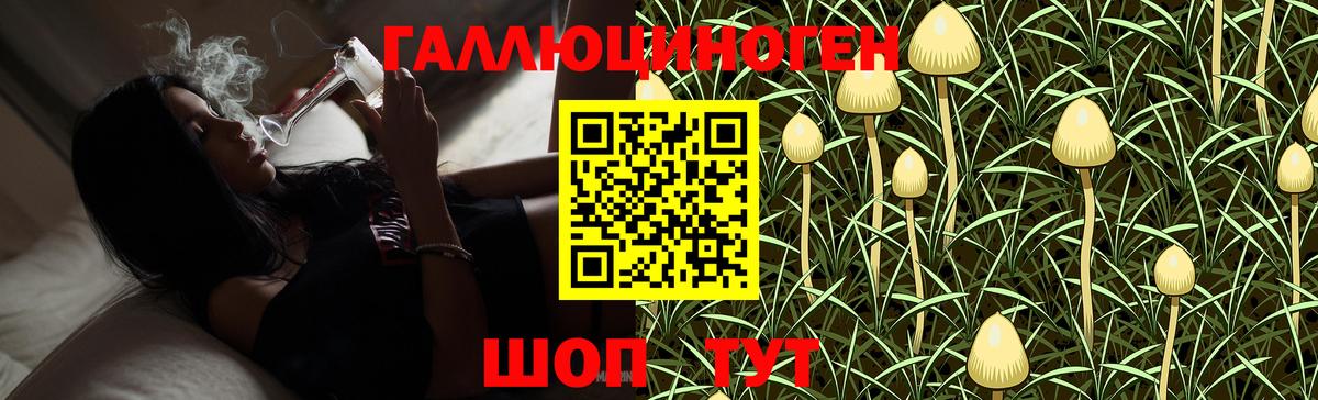 Псилоцибиновые грибы Cubensis Белая Калитва