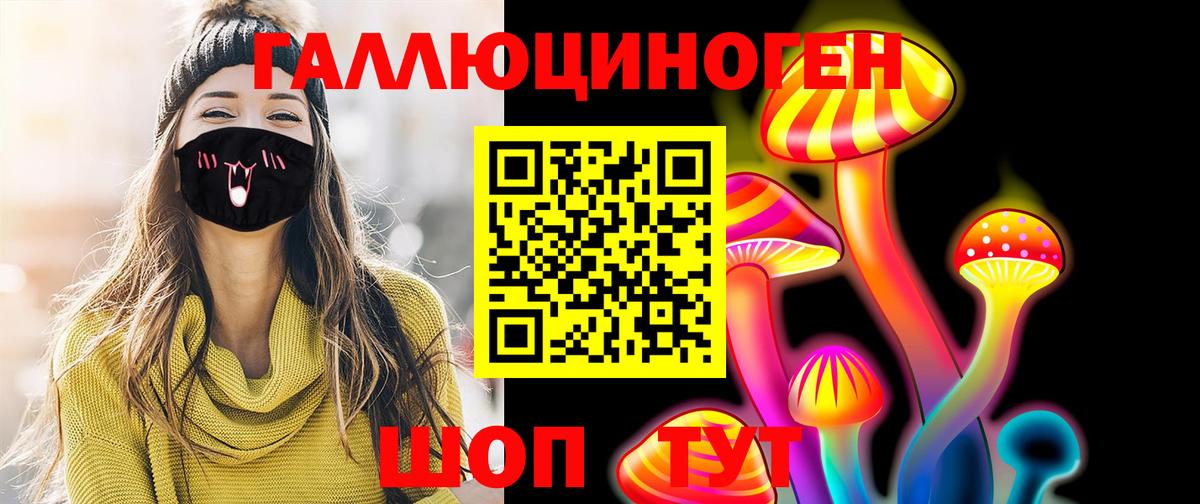 Галлюциногенные грибы Psilocybe  Вход с VPN  Белая Калитва 